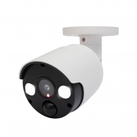 Camera falsa de exterior cu lampa - HSK 140